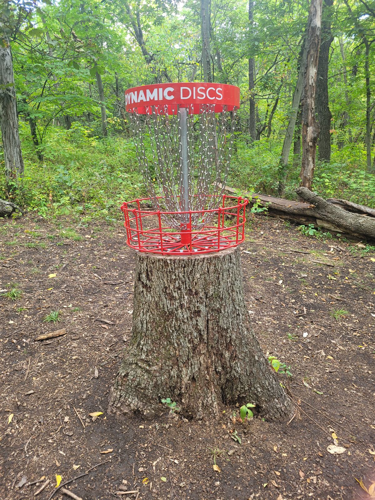 Hole 4 basket