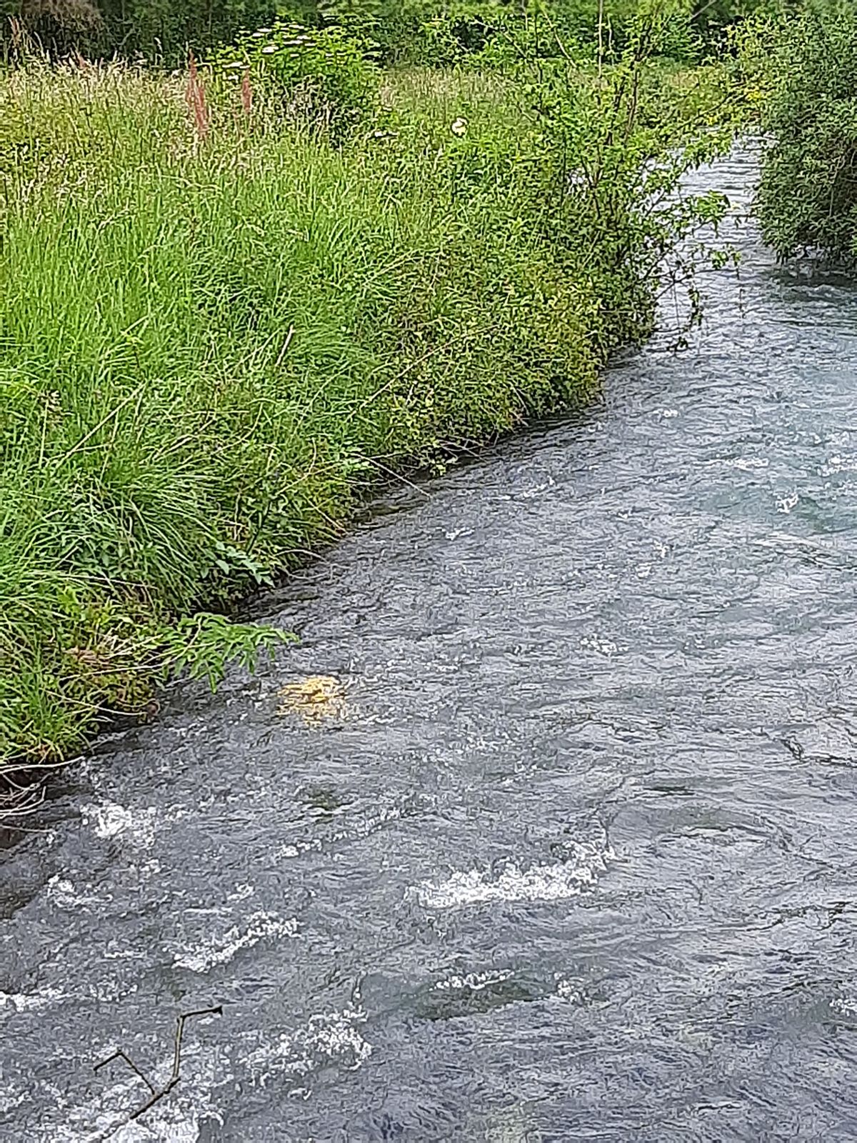Certains disc partent à l eau malheureusement !!!!