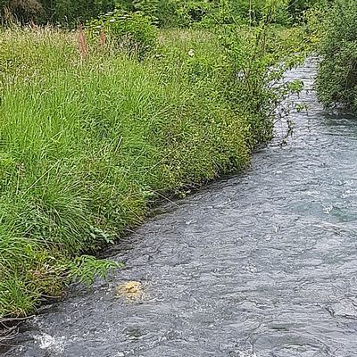 Certains disc partent à l eau malheureusement !!!!