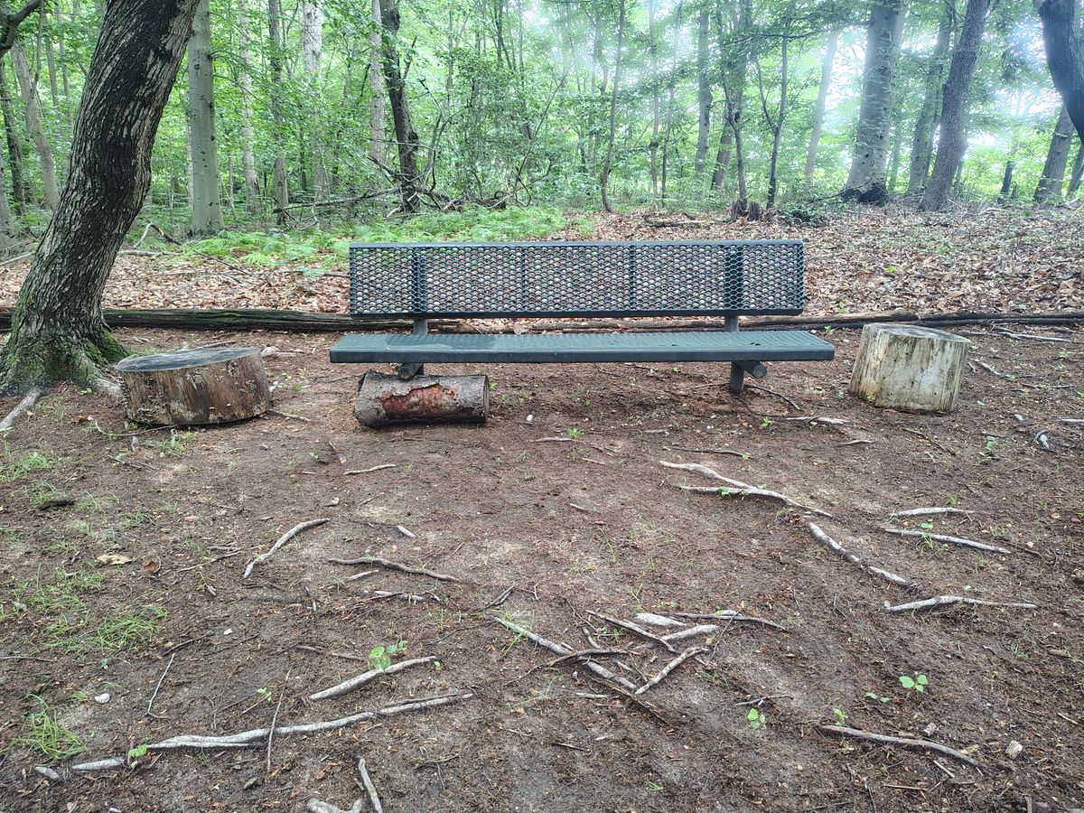 Hole 6 "bag stand" stumps!