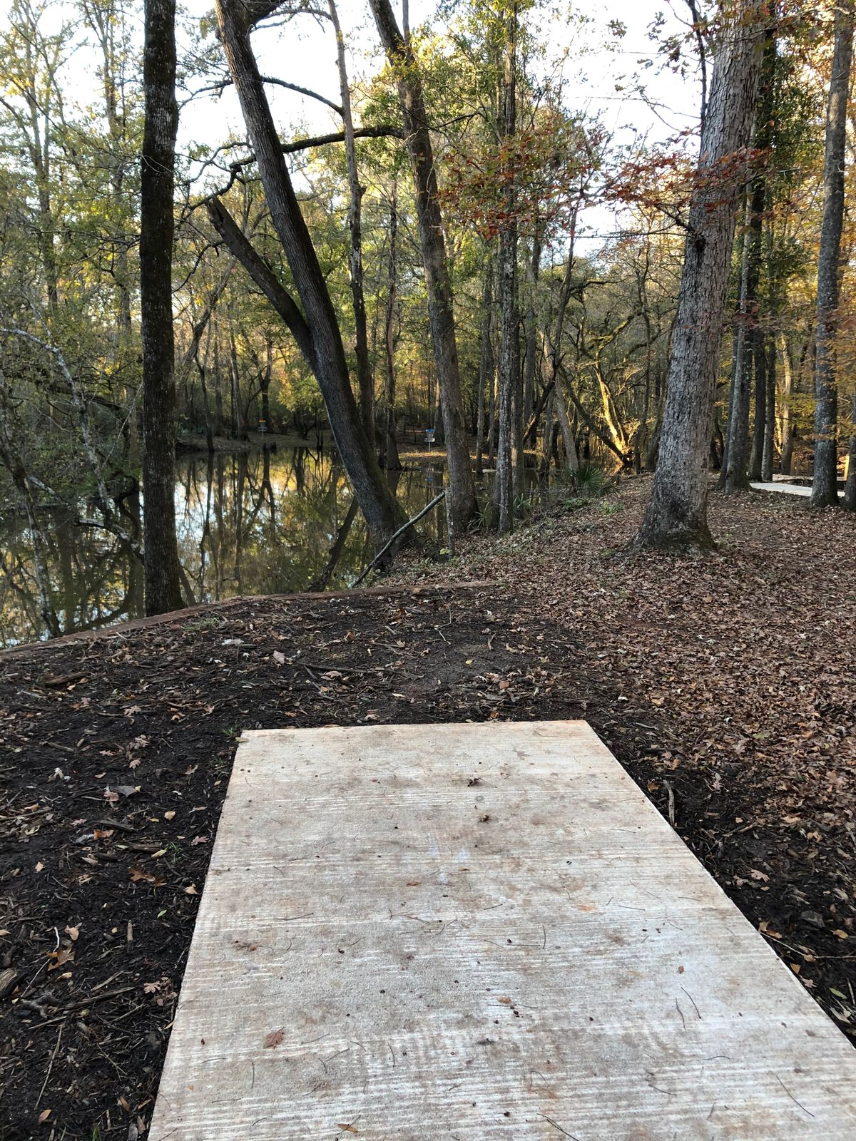 14 tee pad long