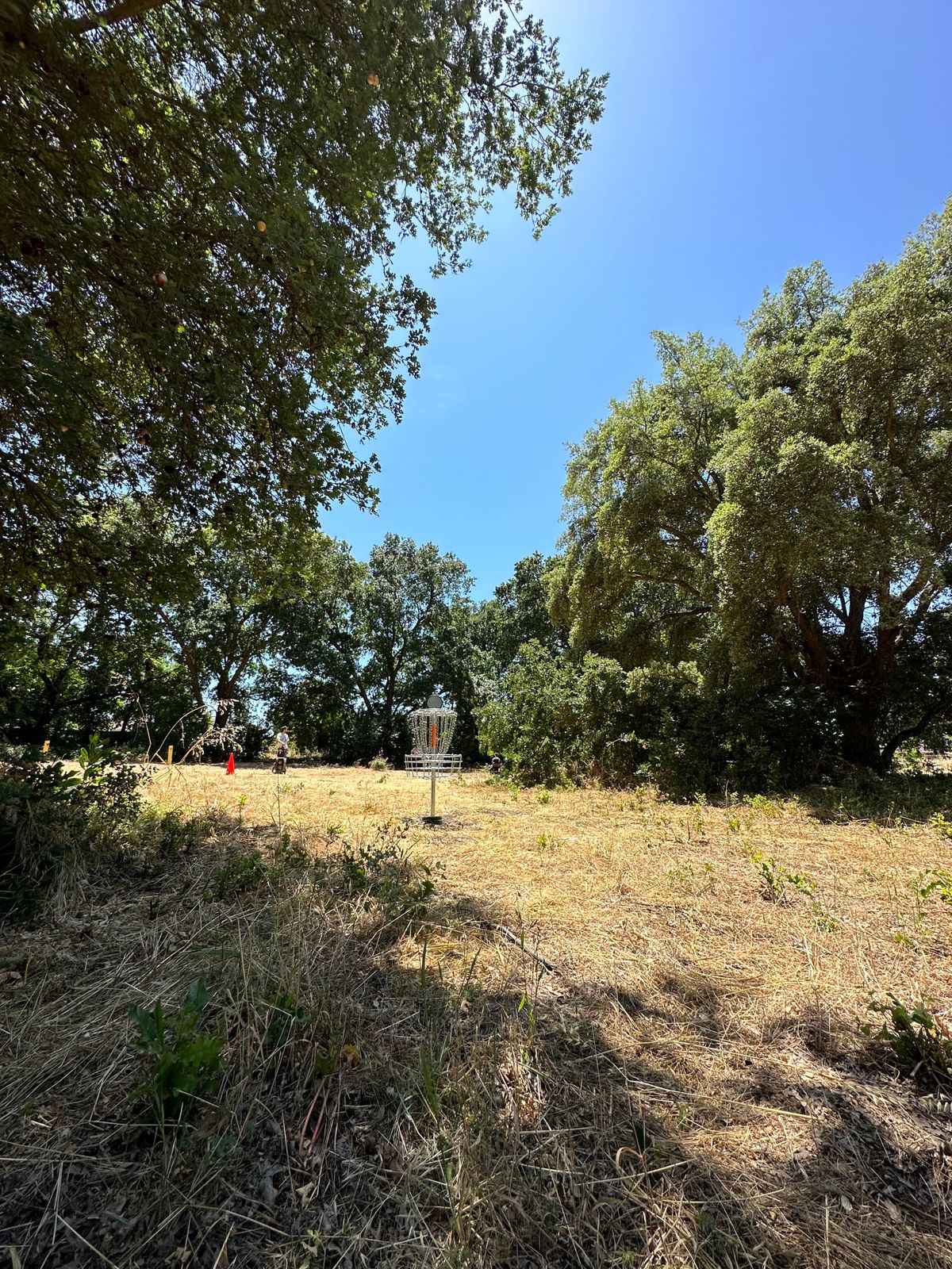 Hole 11