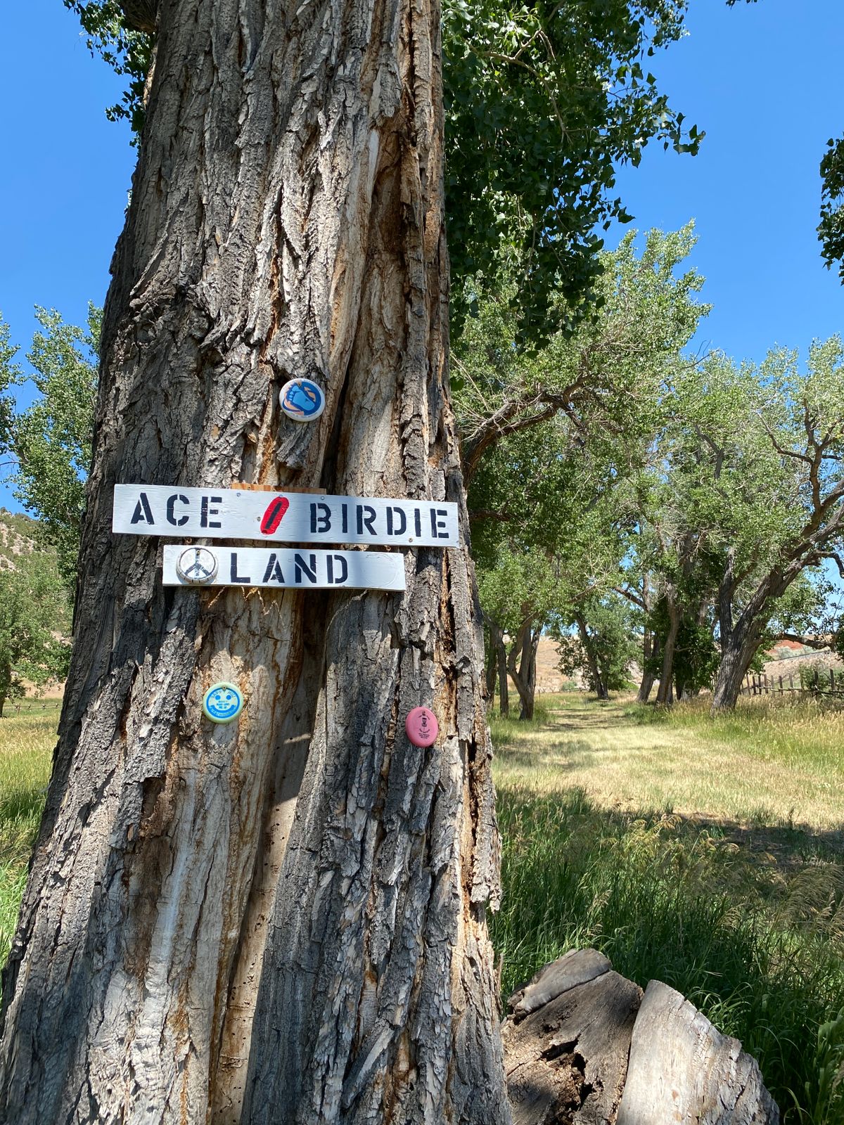 The locals know what’s up. This is the entrance to the back four; “in the woods”!