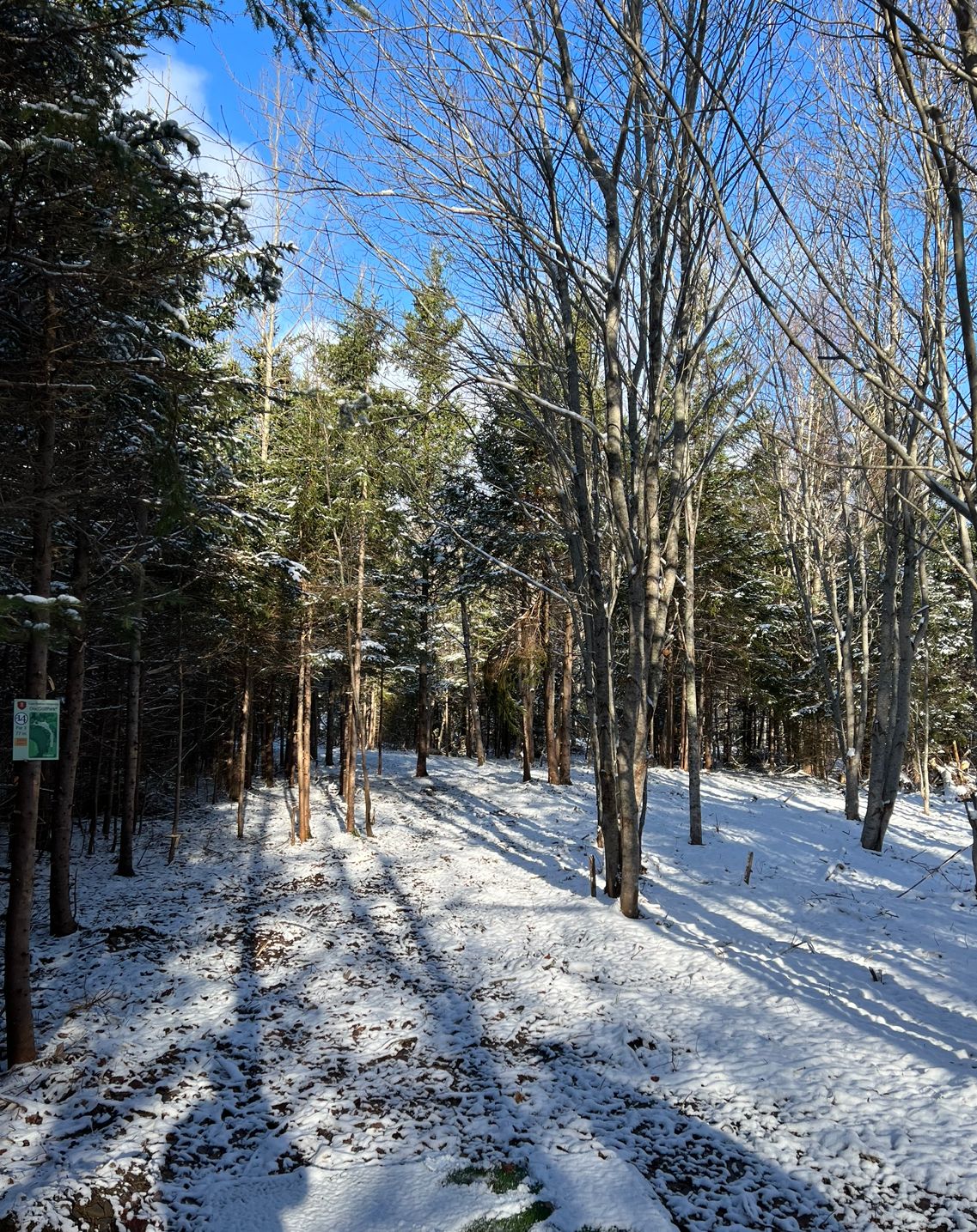 14 tee box
