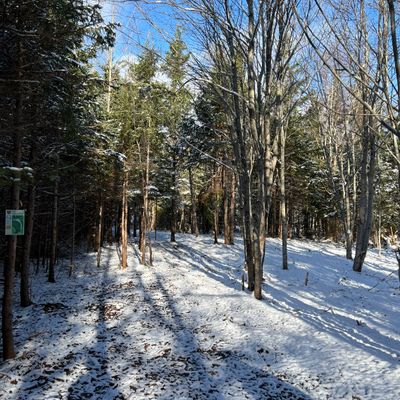14 tee box