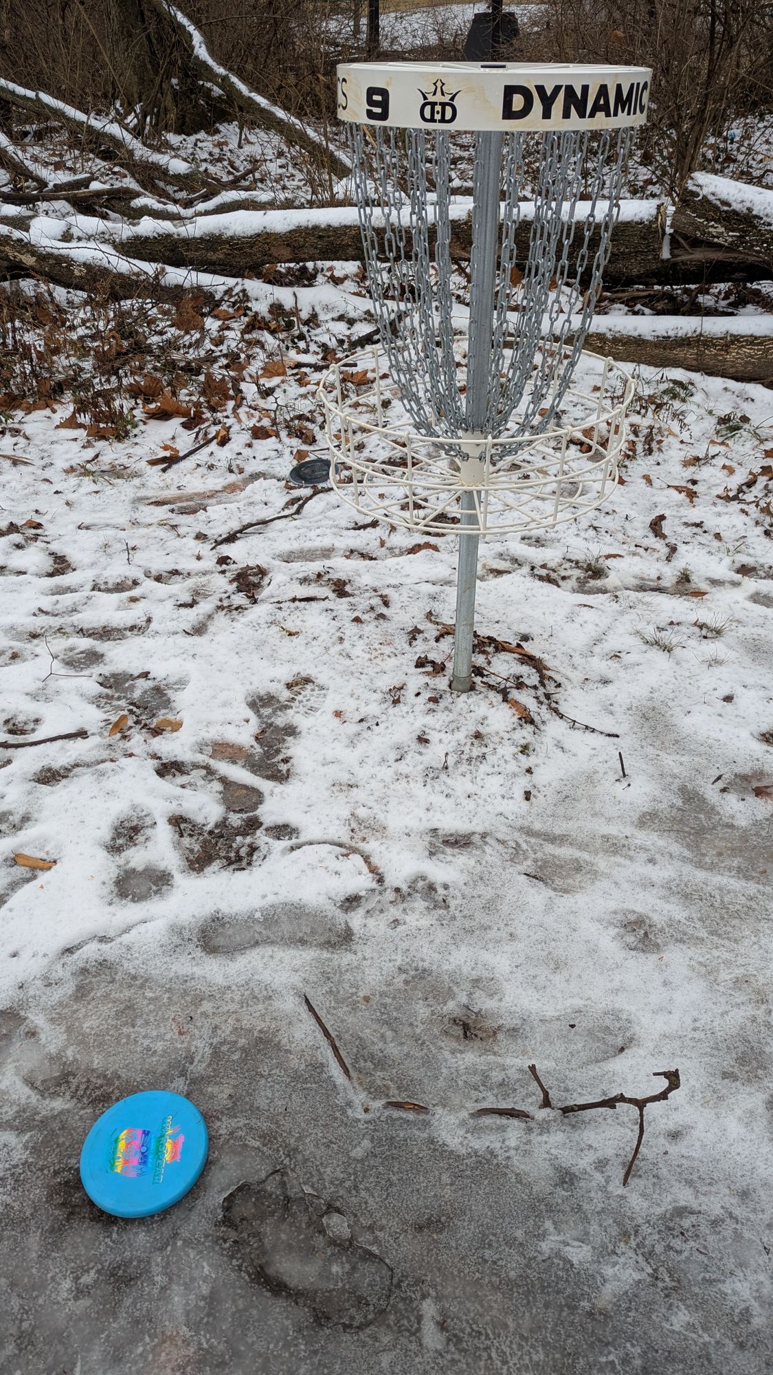 Hole 9's basket