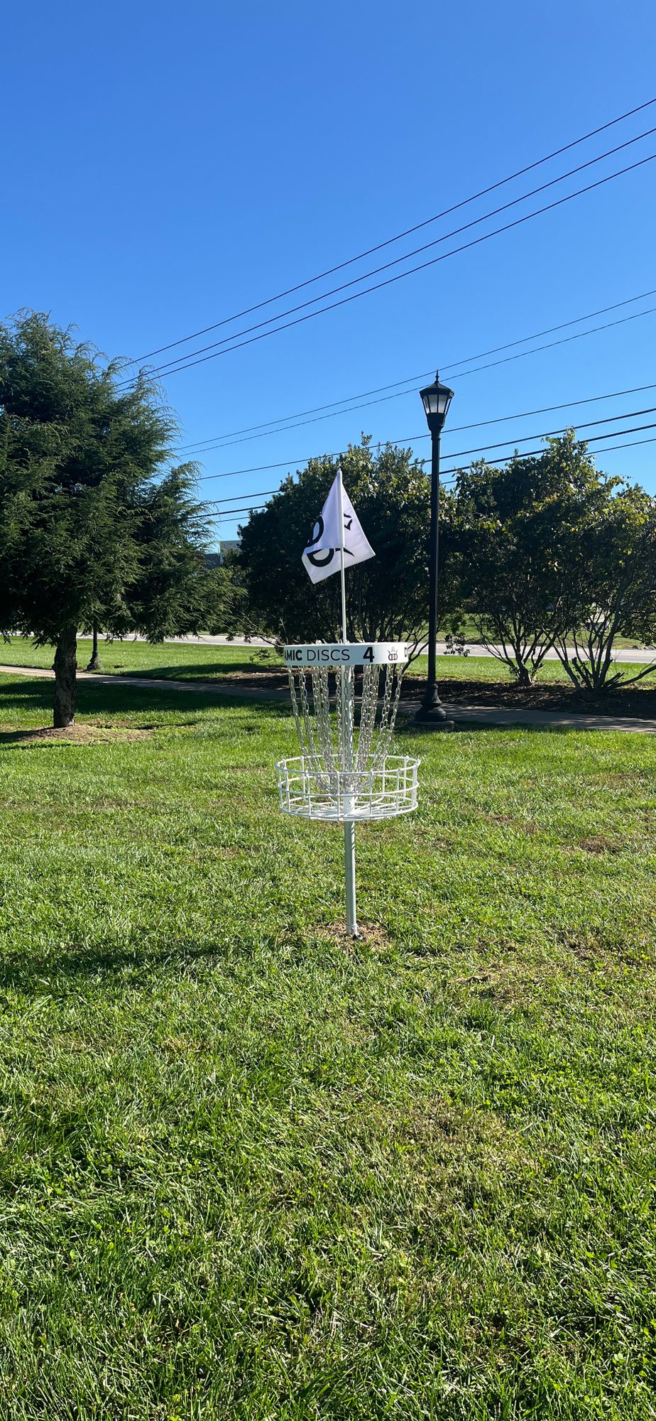 Hole 4 basket