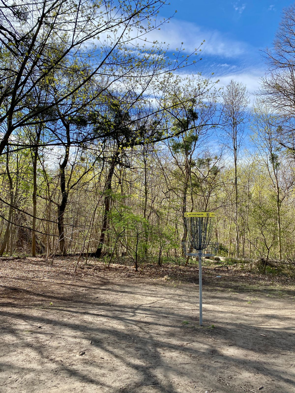 Elevated basket on Hole 6.