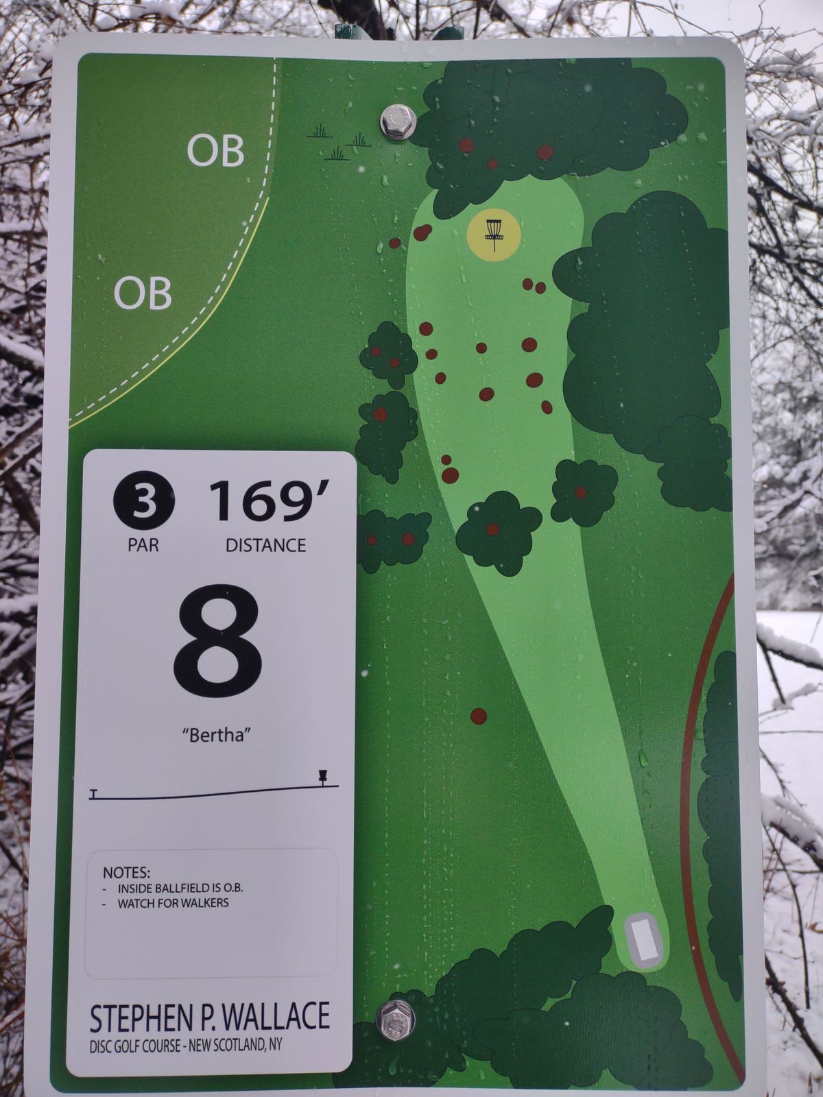Hole 8 White