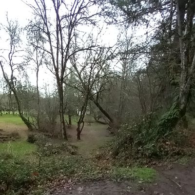 Hole 6