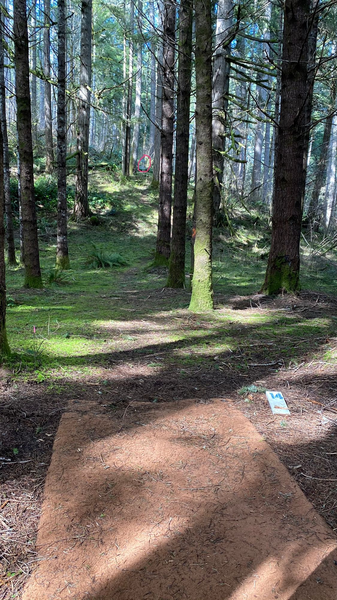 Hole 14. Navigate the tunnel and up the hill.