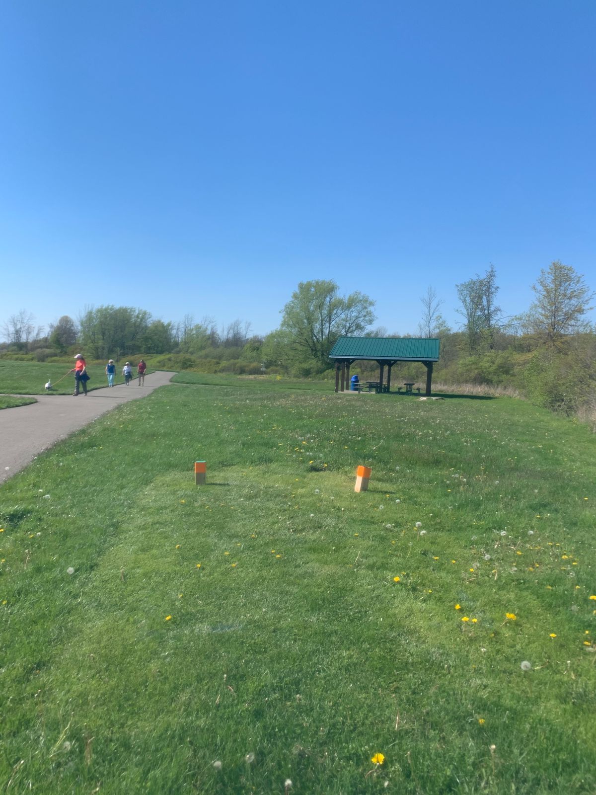 Hole 5 tee box
