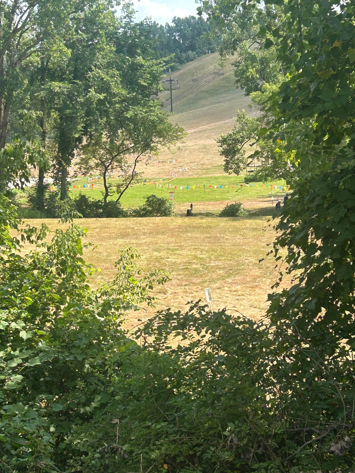 Zoomed hole 5