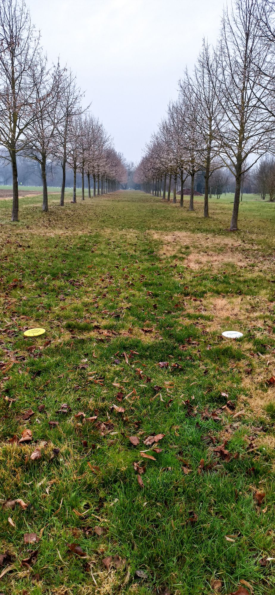 Hole 7 tee spot