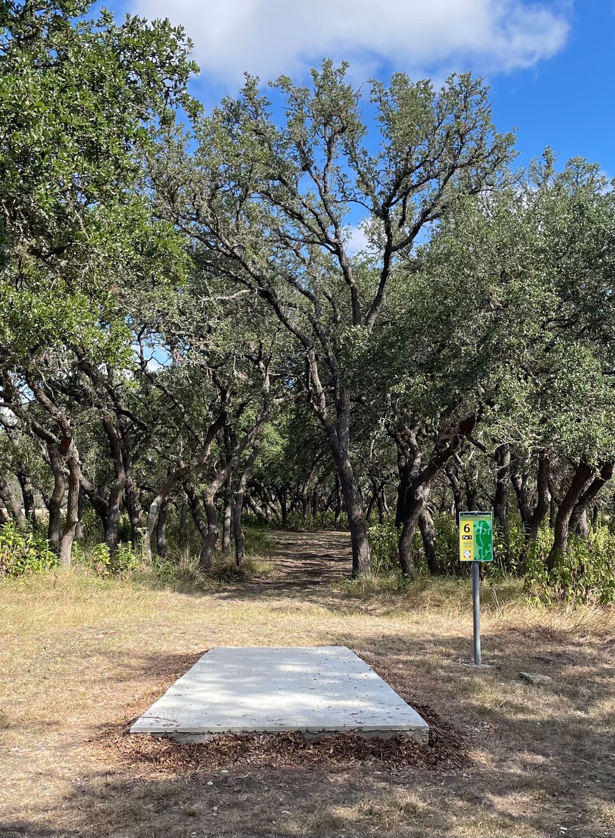 #6 Teebox