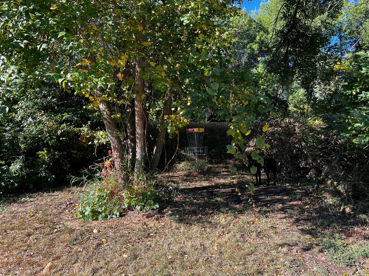 Basket Hole 8/17