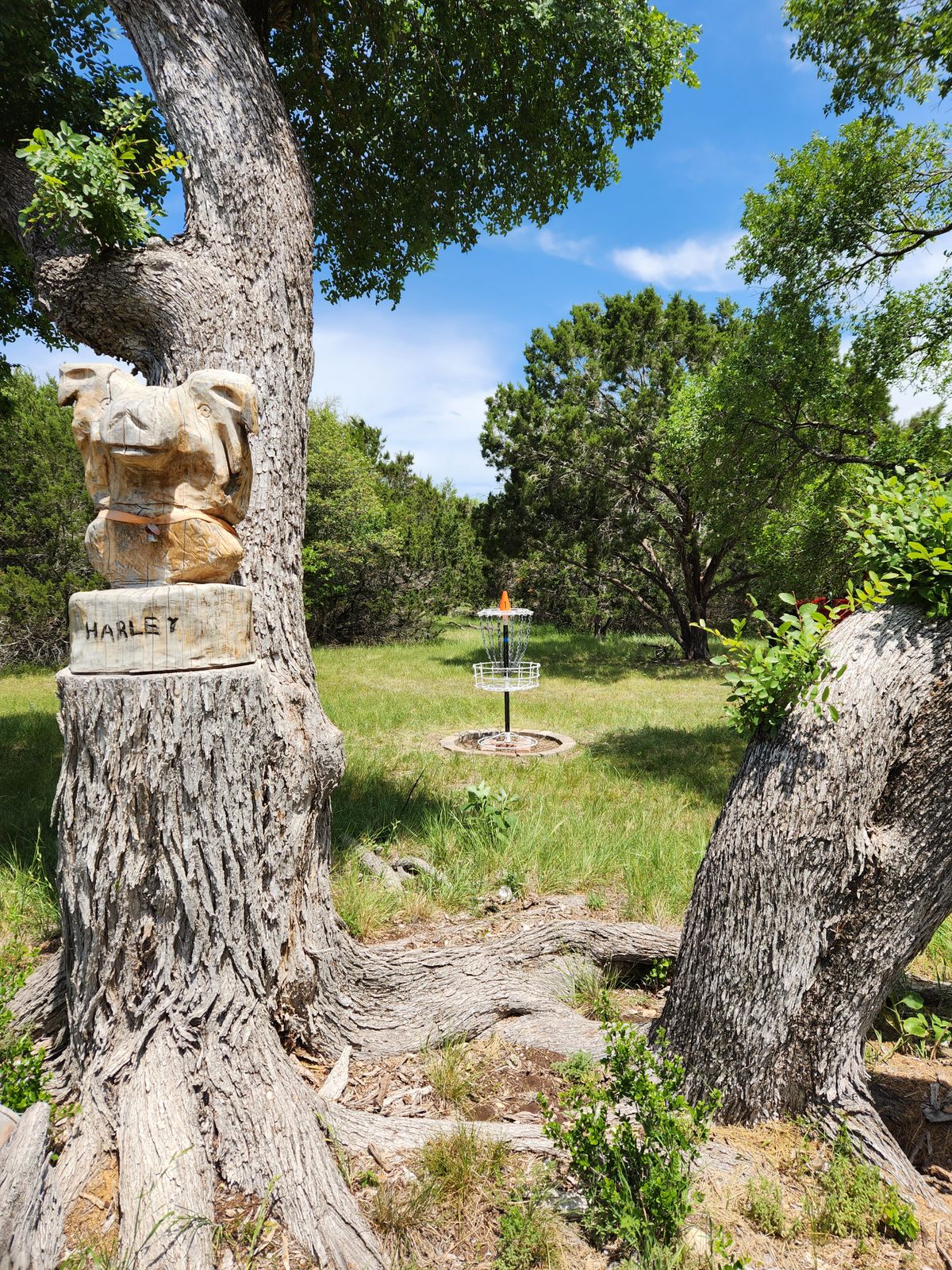 Harley carving on #1