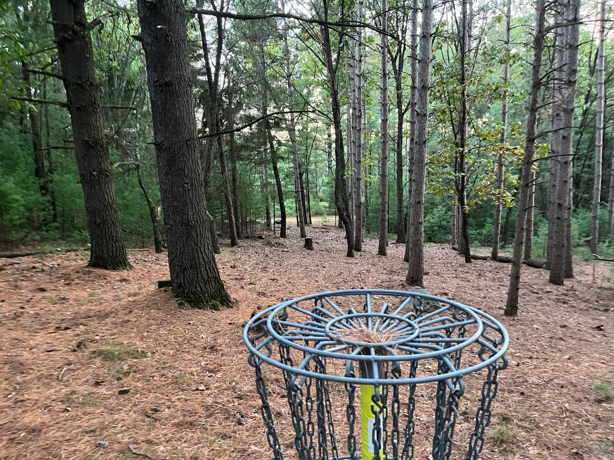 View from basket back to tee of warm-up hole