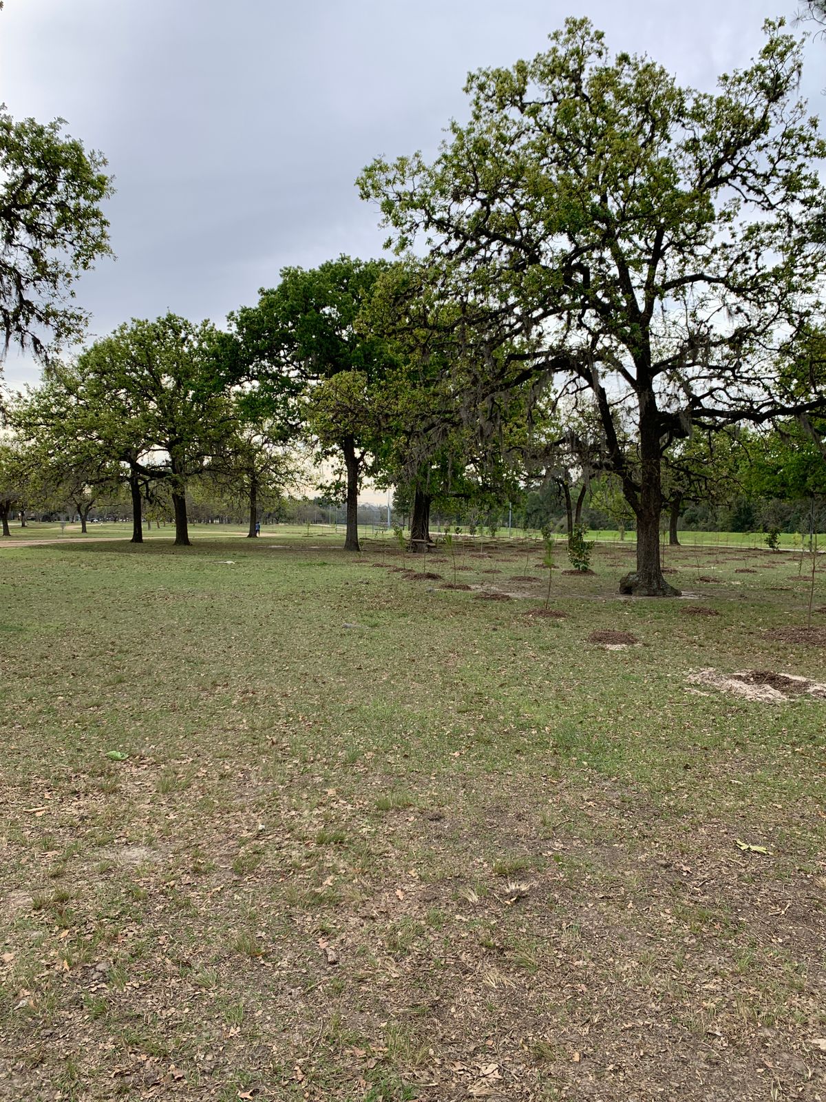 Hole 15