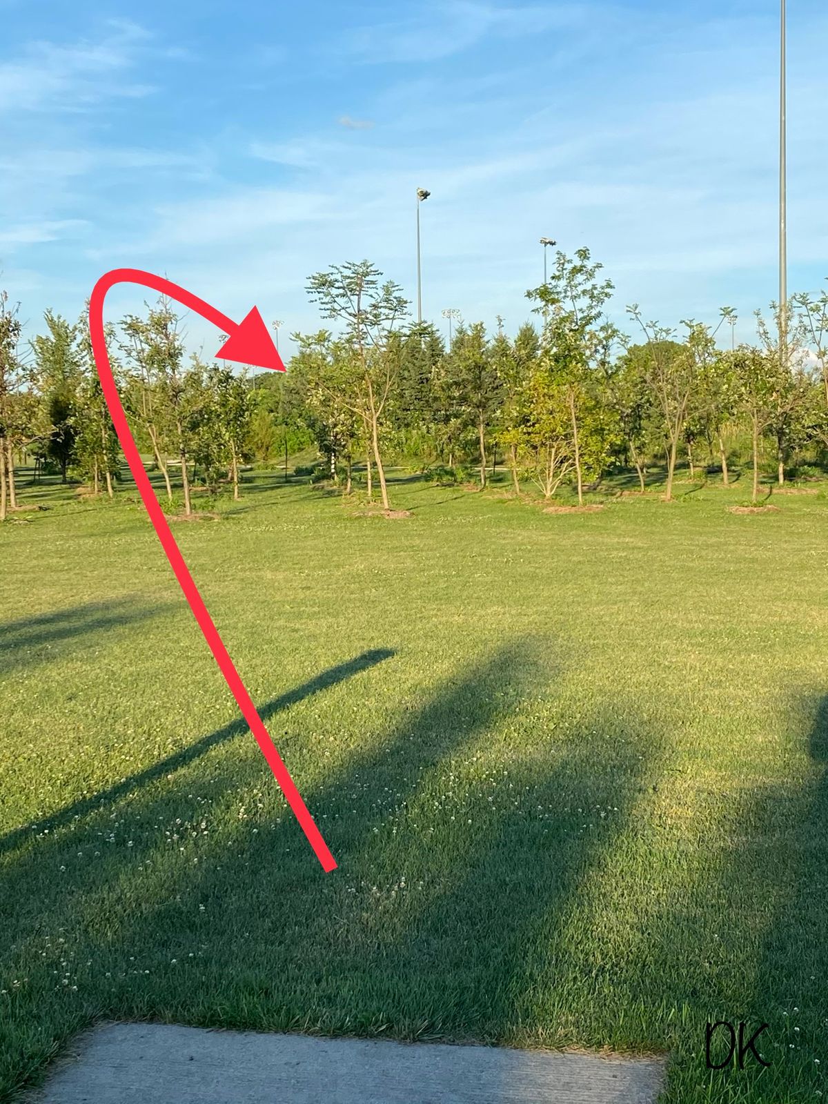 Hole 7 short