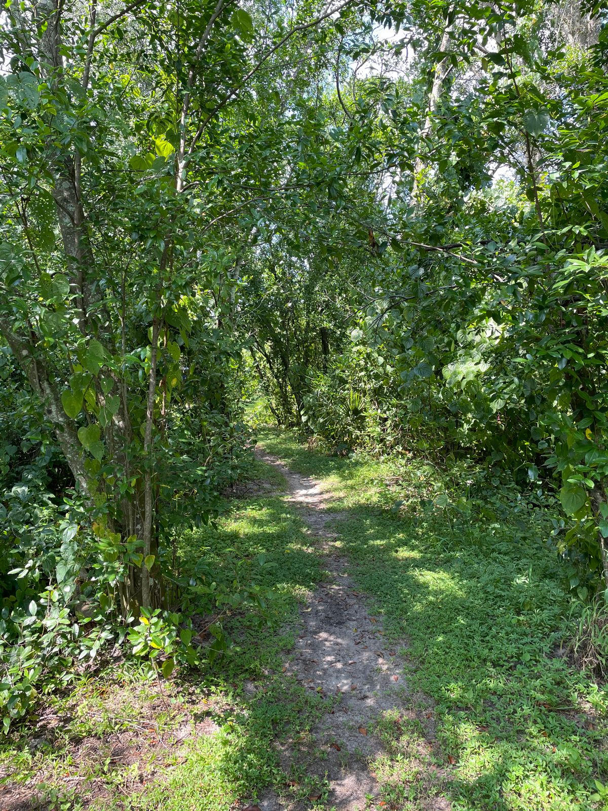 Path from hole 8-9