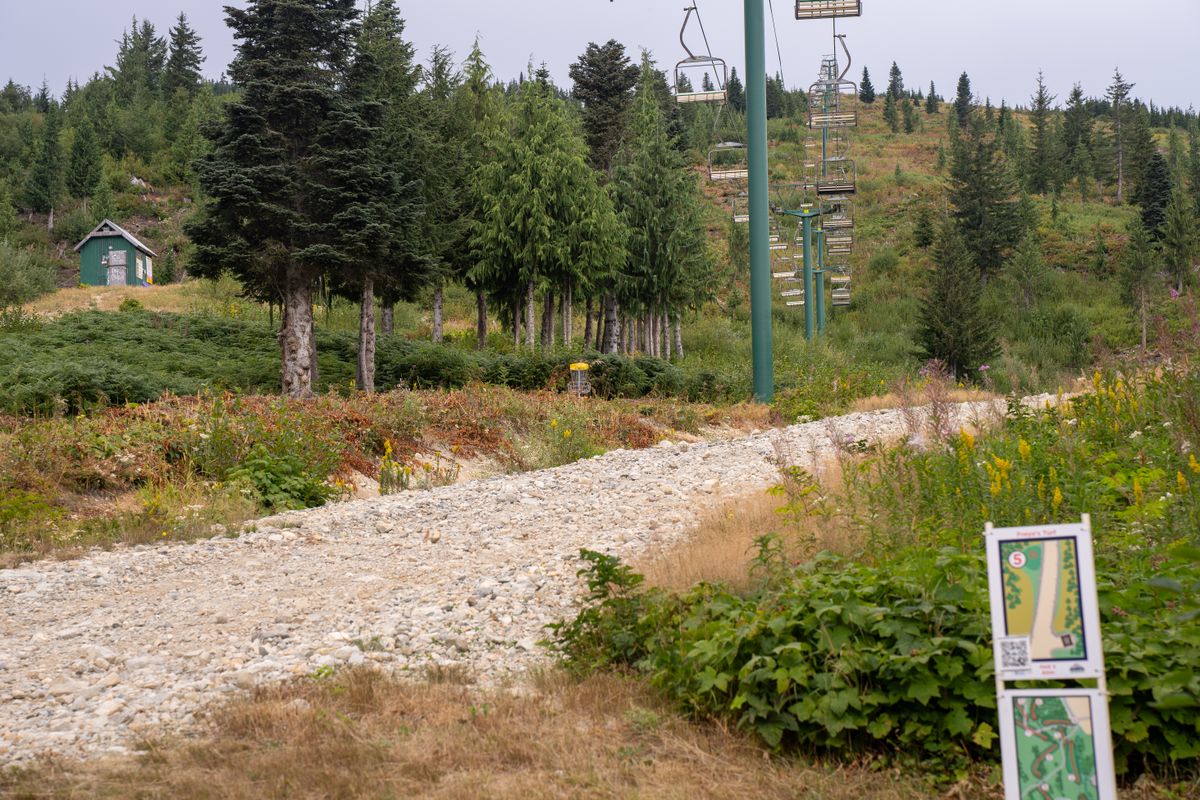 Hole 5