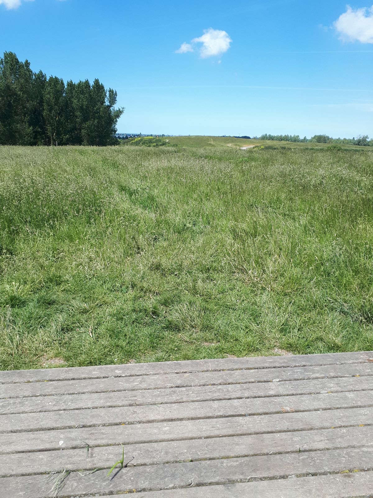Hole 4, basket is lowered