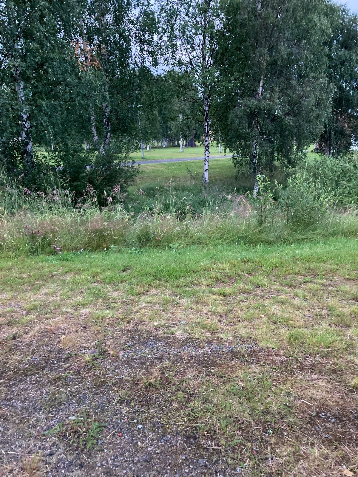 Tee 6