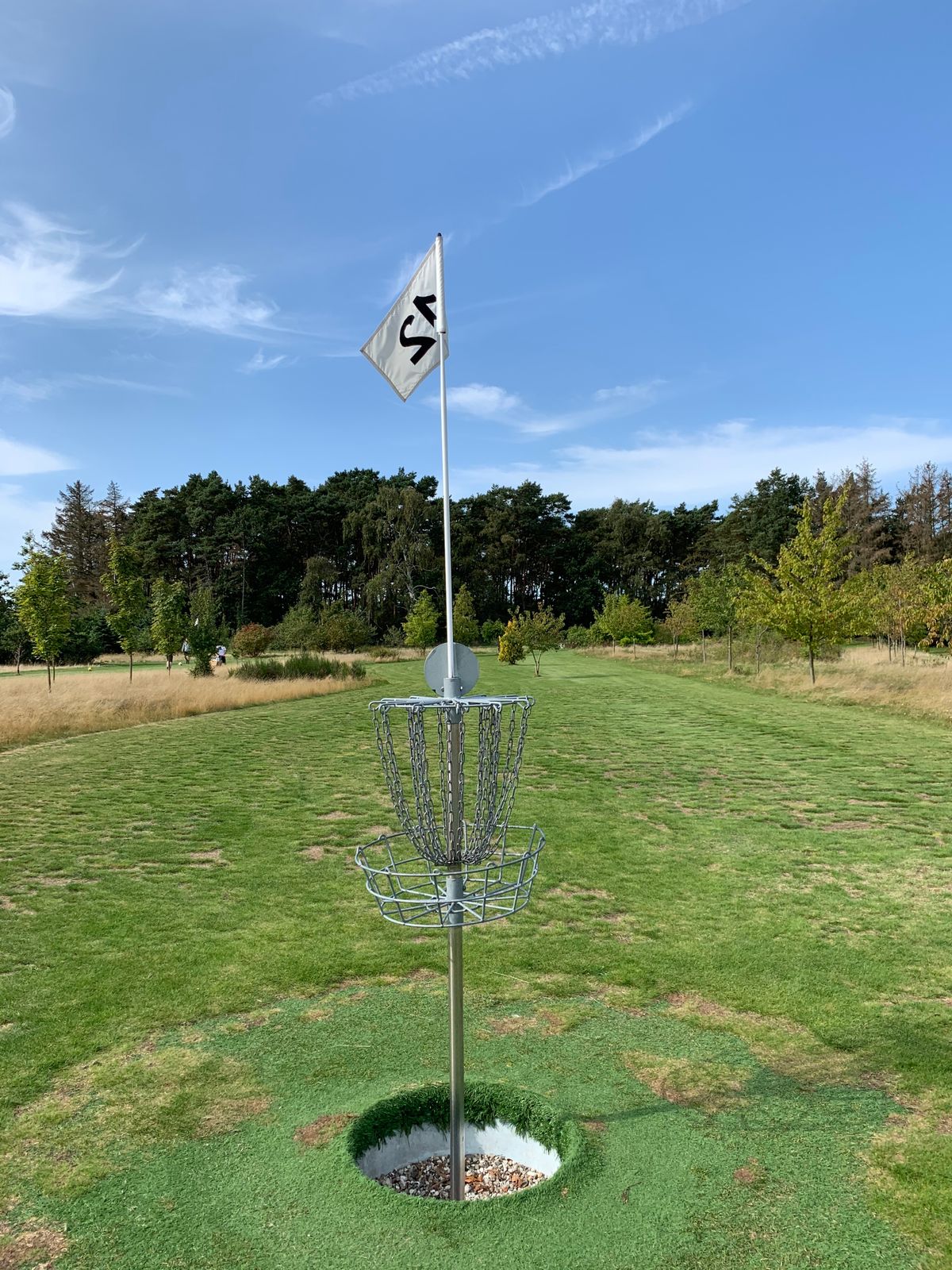 Basket of hole 12