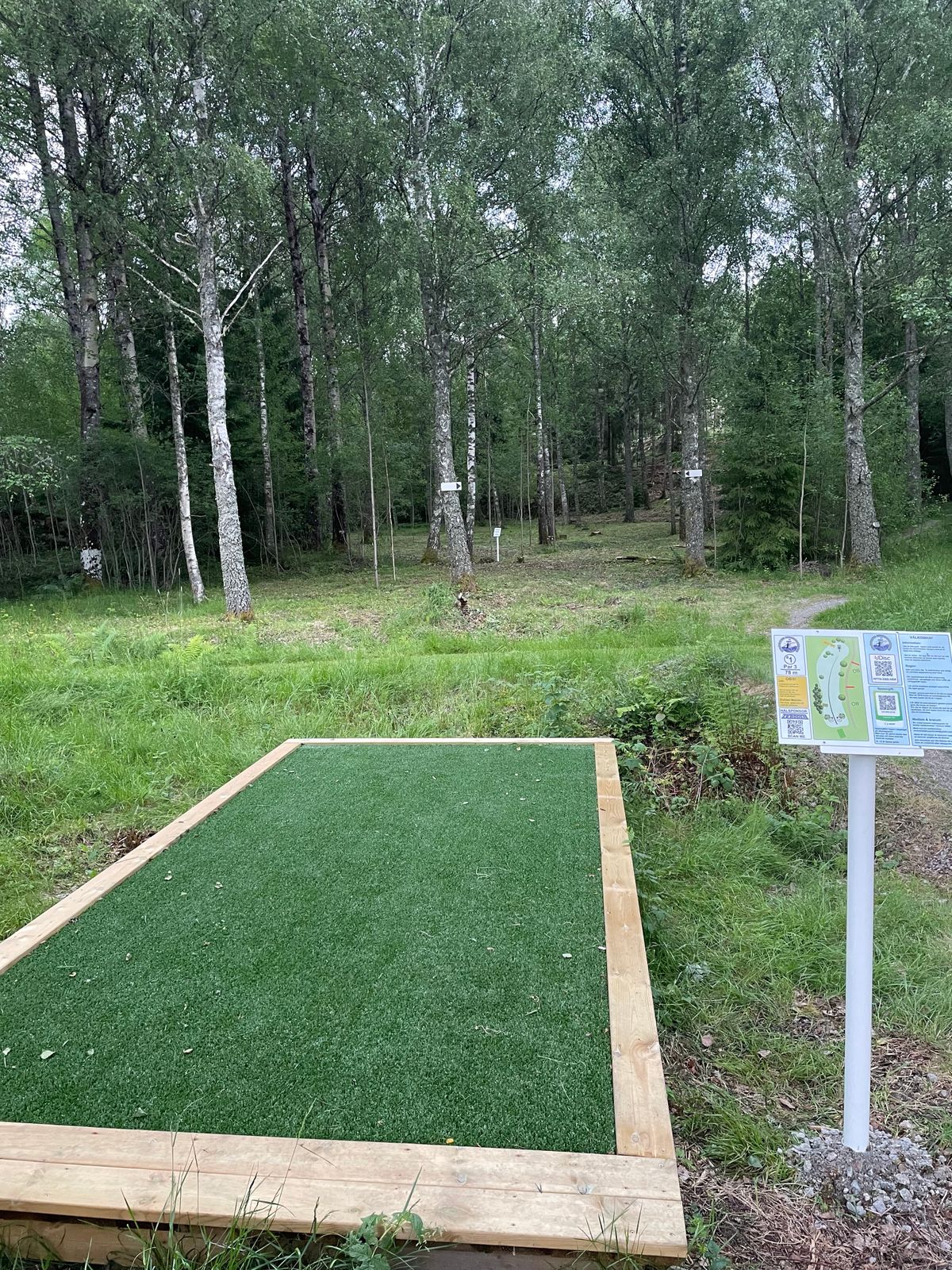 Tee Hål 1