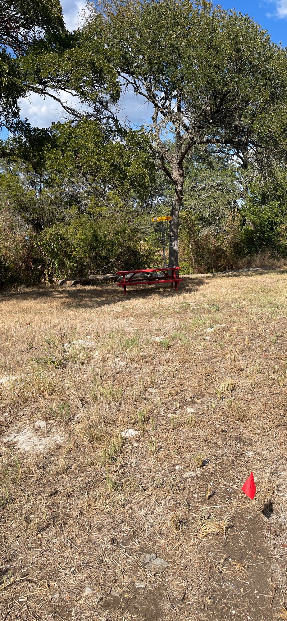 Hole 3, elevated basket