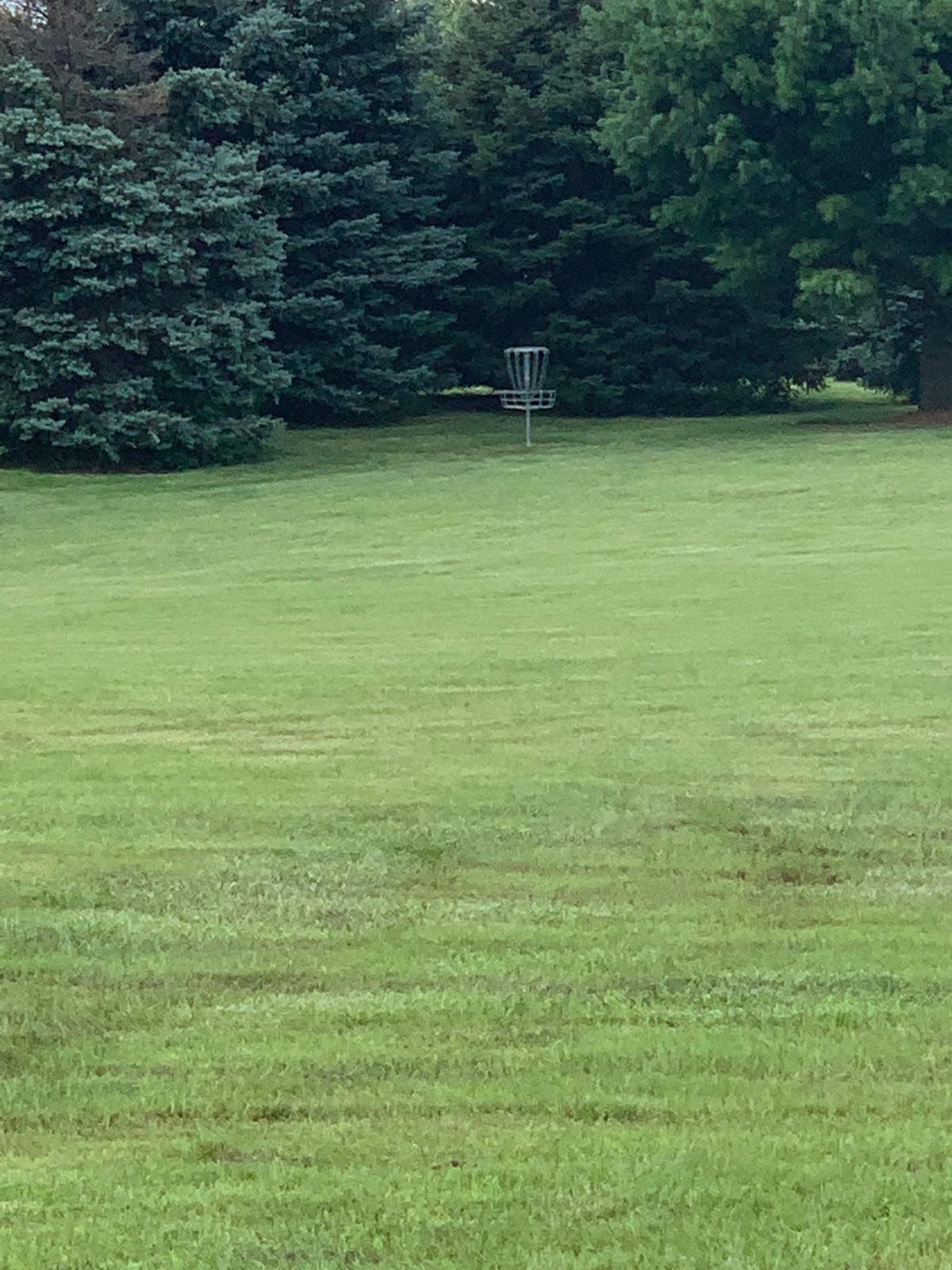 View of 4 from tee pad