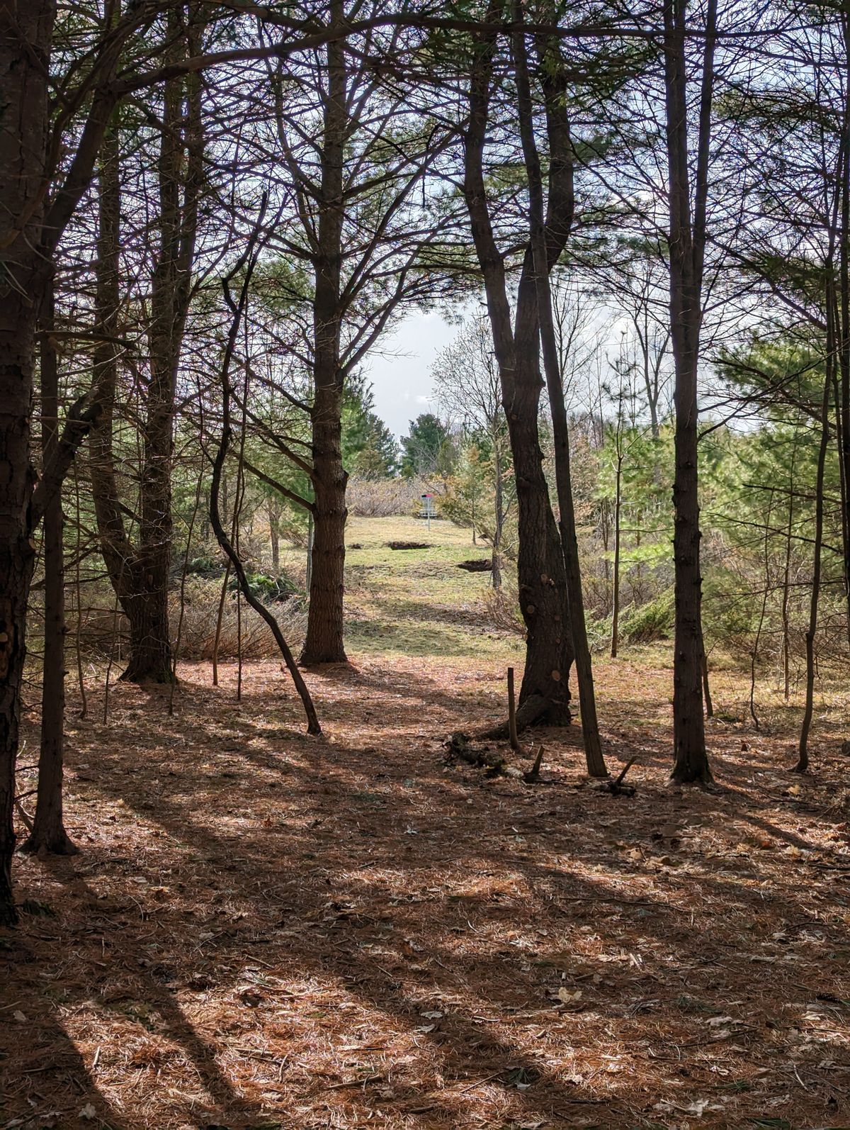 Beautiful view up the 8th!