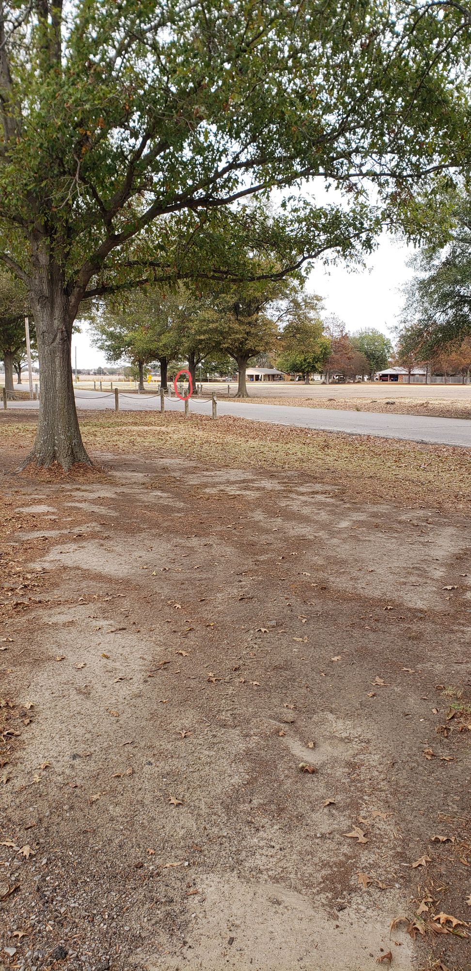 Hole 13