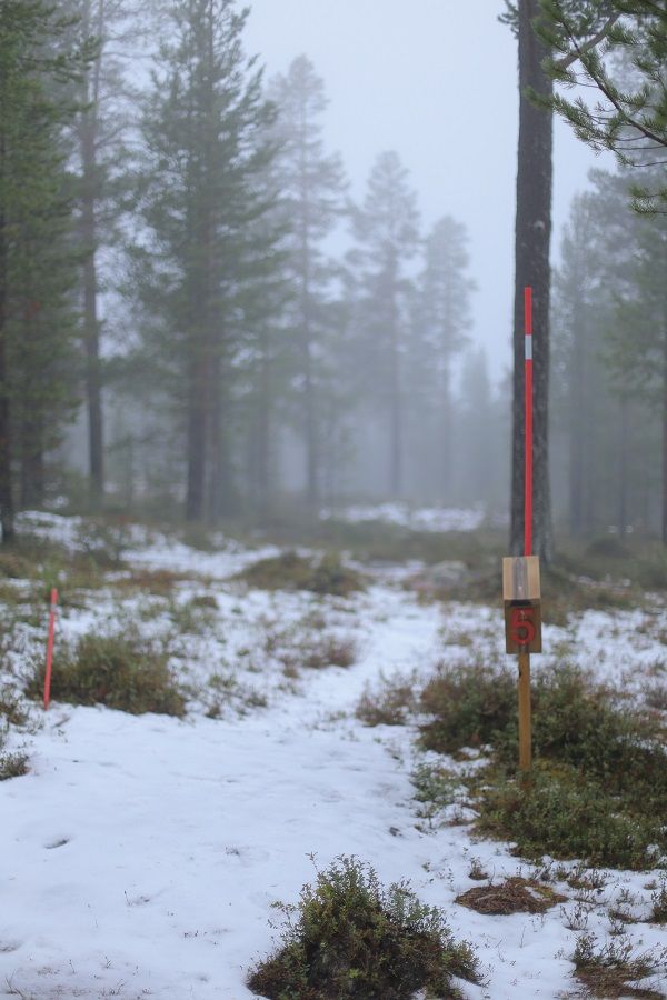 Röd tee på bana 5 innan första snön smält undan. Oktober 2024.