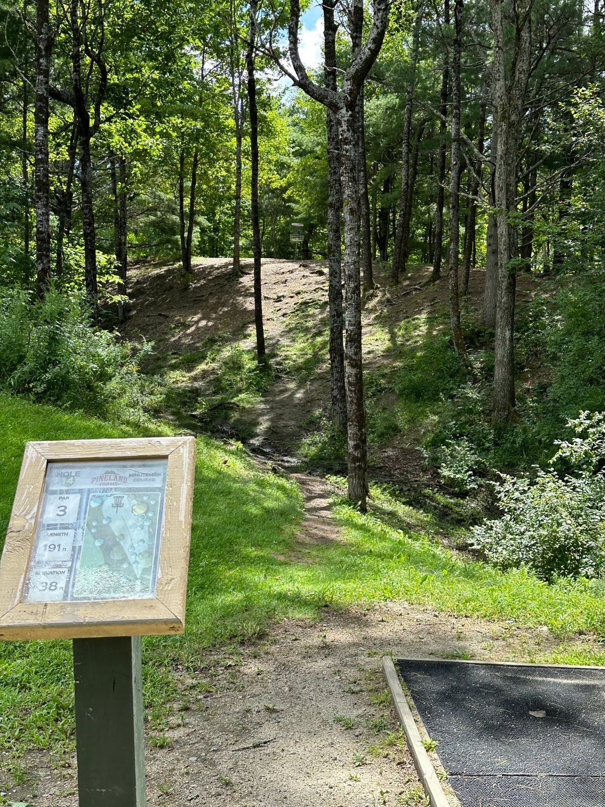 Hole 14. Caution: steep cliff on the back side of the basket.