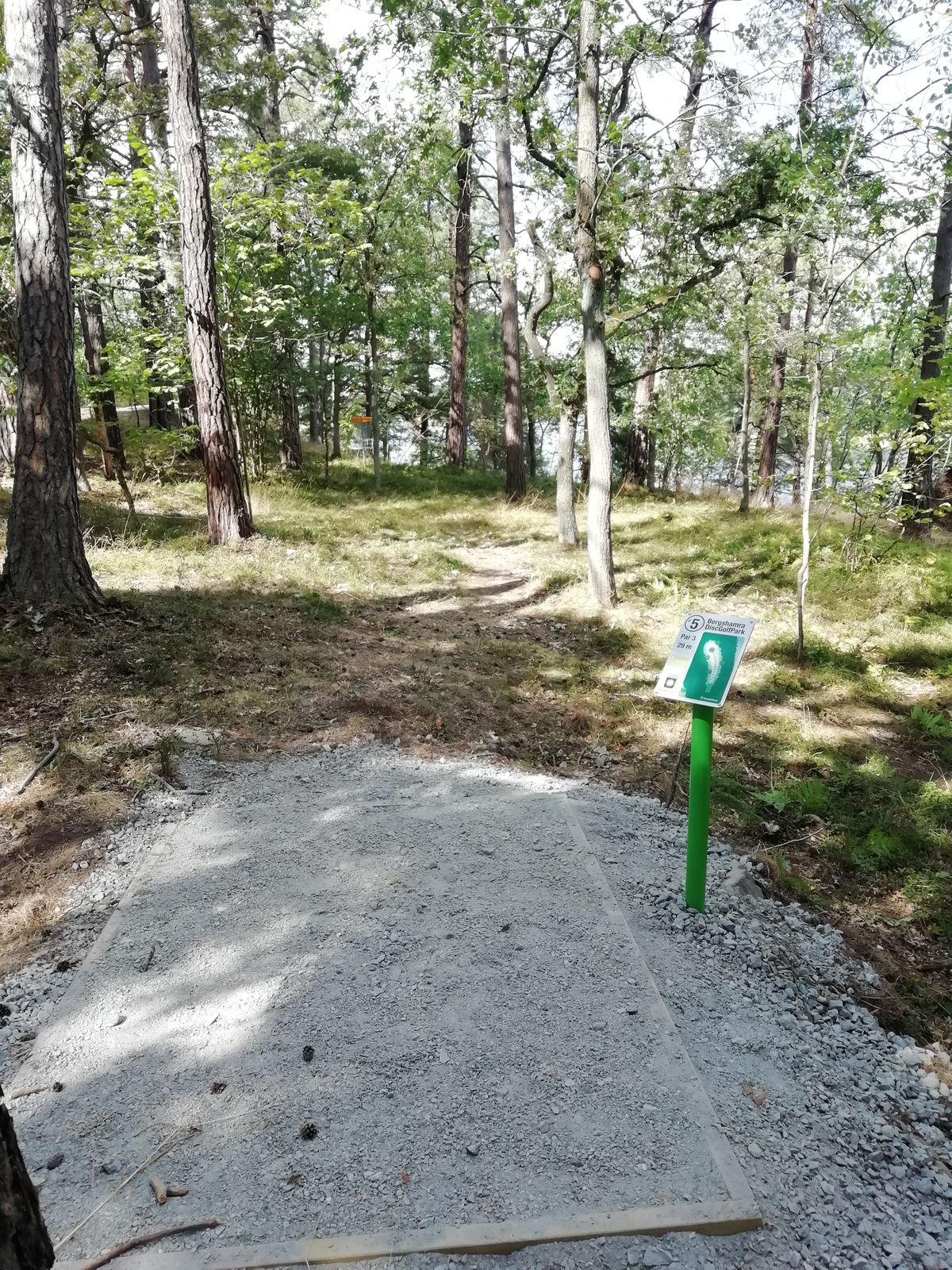 Hål 5, kanske främsta Ace-chansen, men se upp för stupet bortanför korg