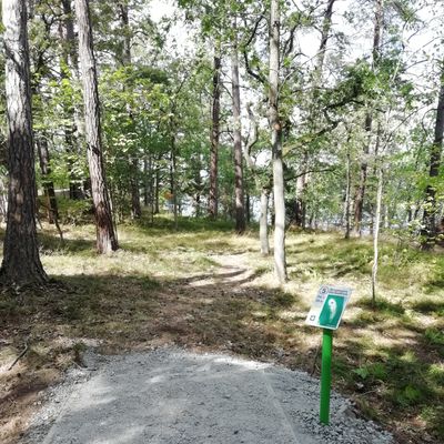 Hål 5, kanske främsta Ace-chansen, men se upp för stupet bortanför korg