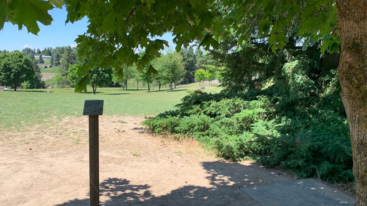 Hole 9