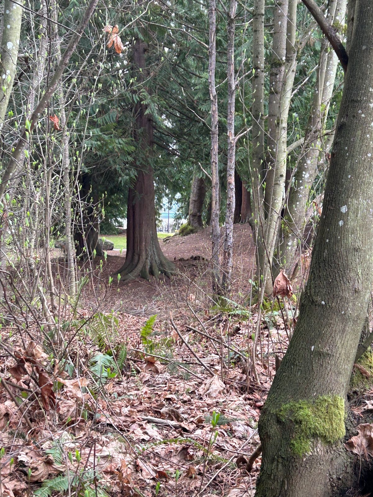 Hole 18