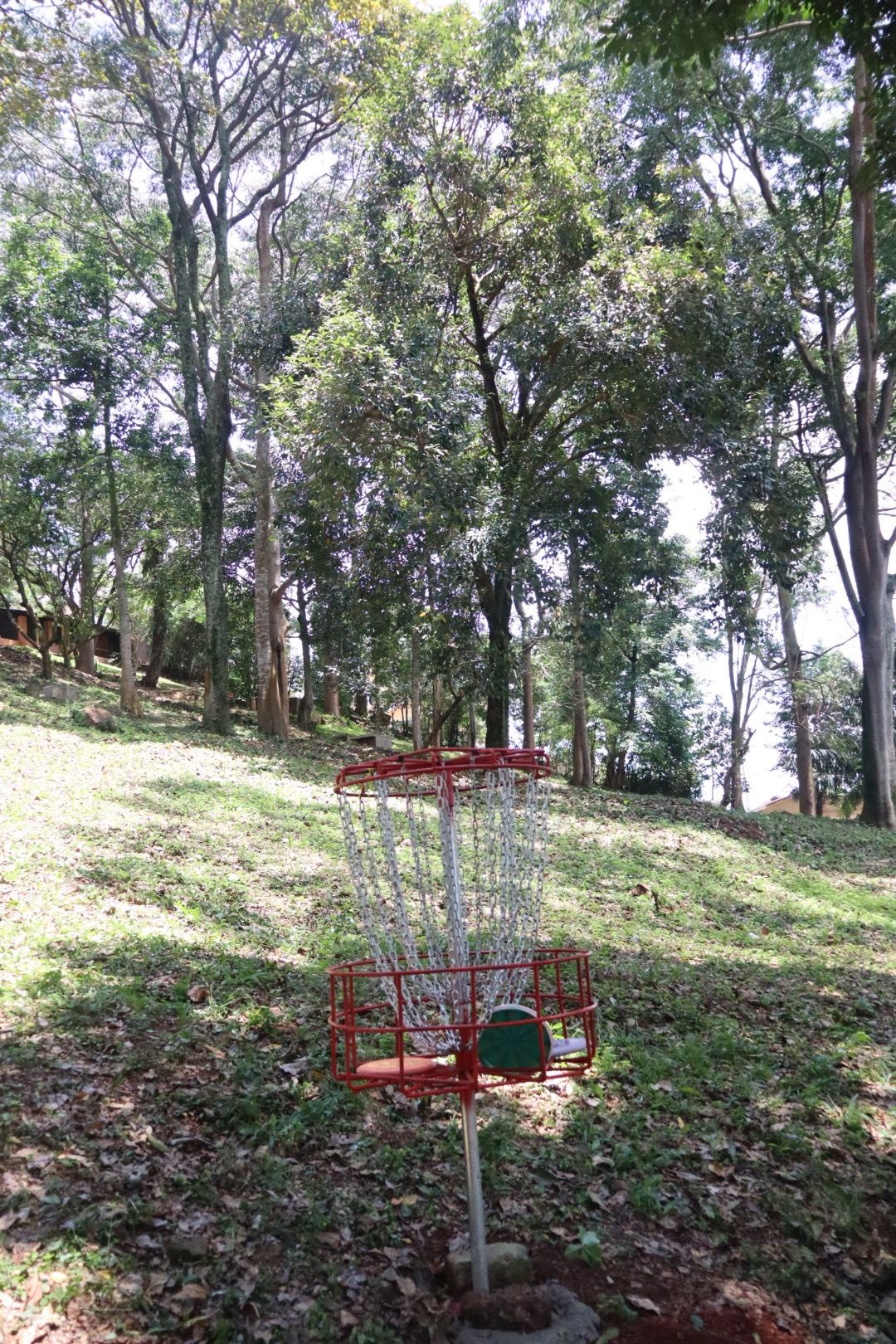 Hole 7 basket
