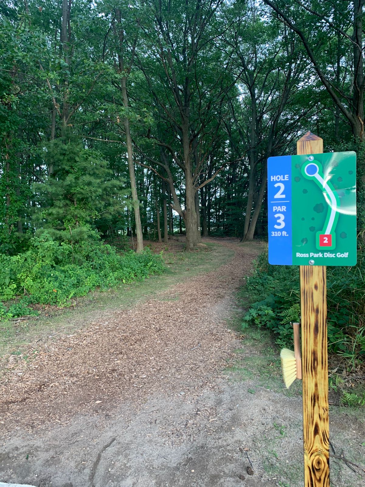 Hole 2 entry into the woods