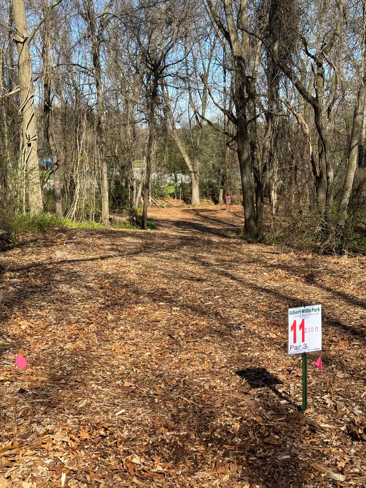 Hole 11 Short Tee