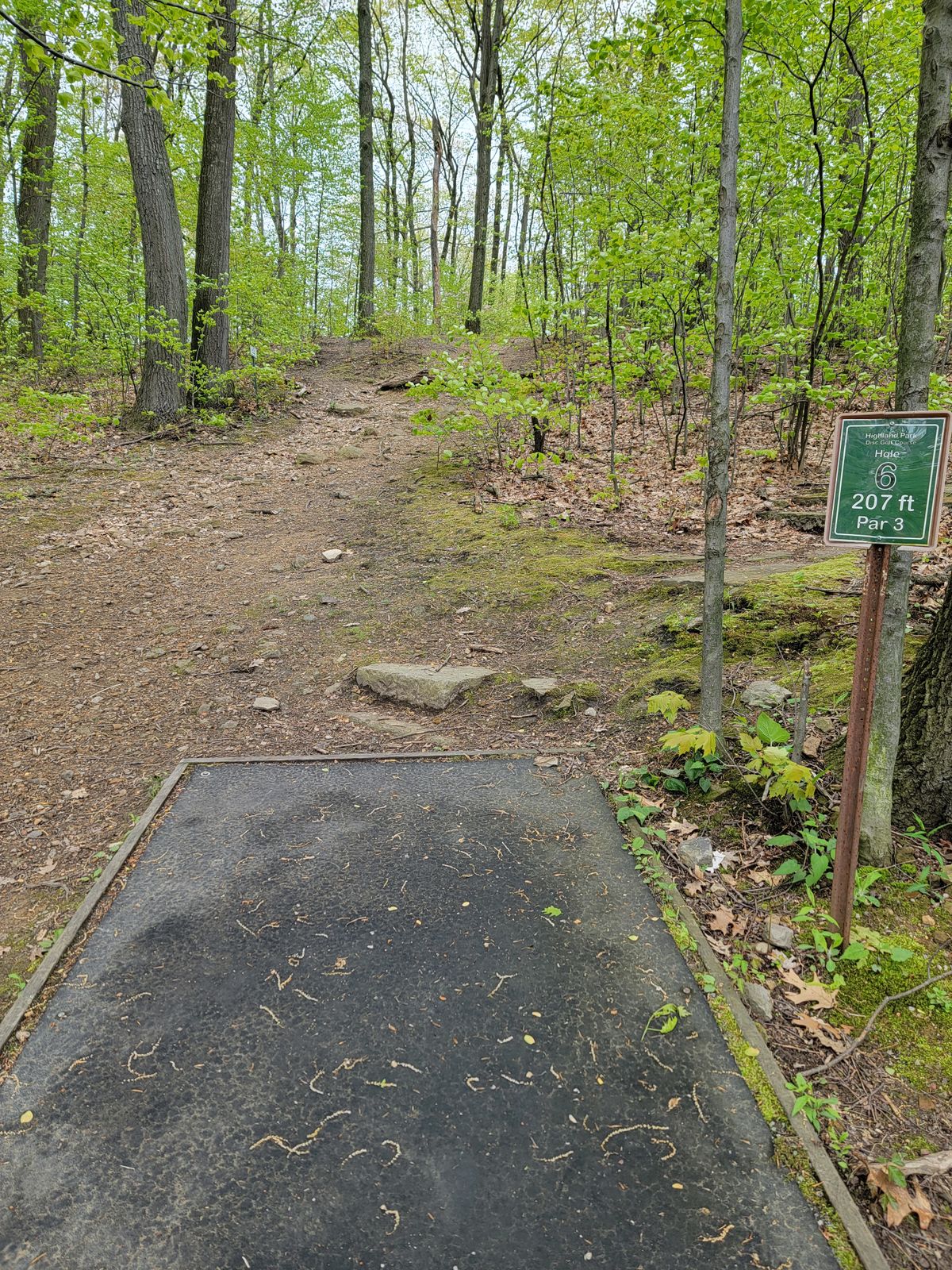 Hole #6
