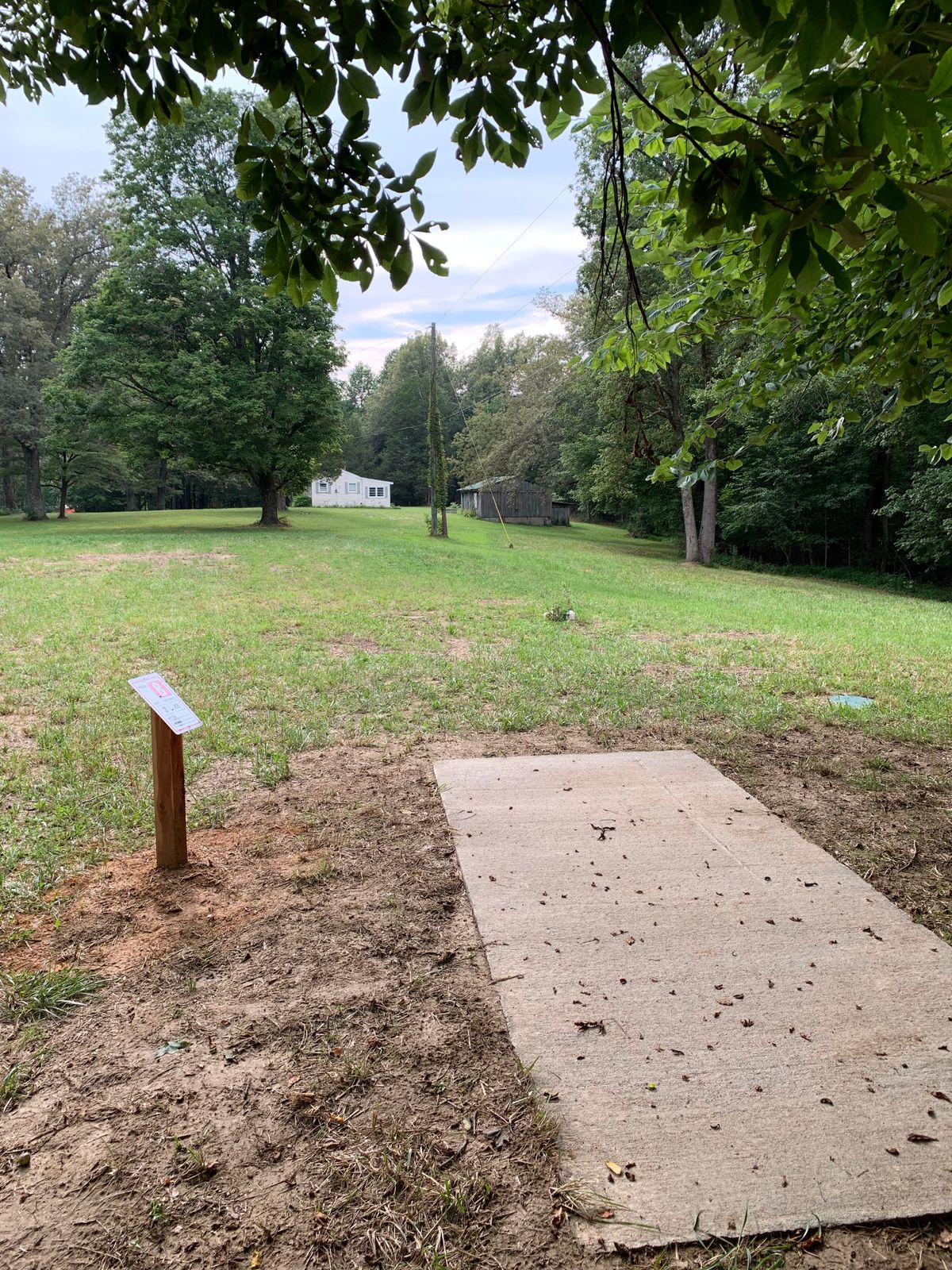 Hole 8 tee.