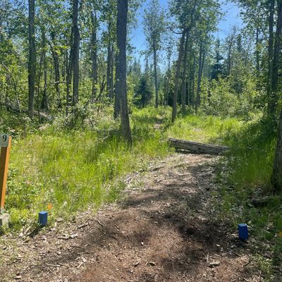 Hole 9 Summer Vibes