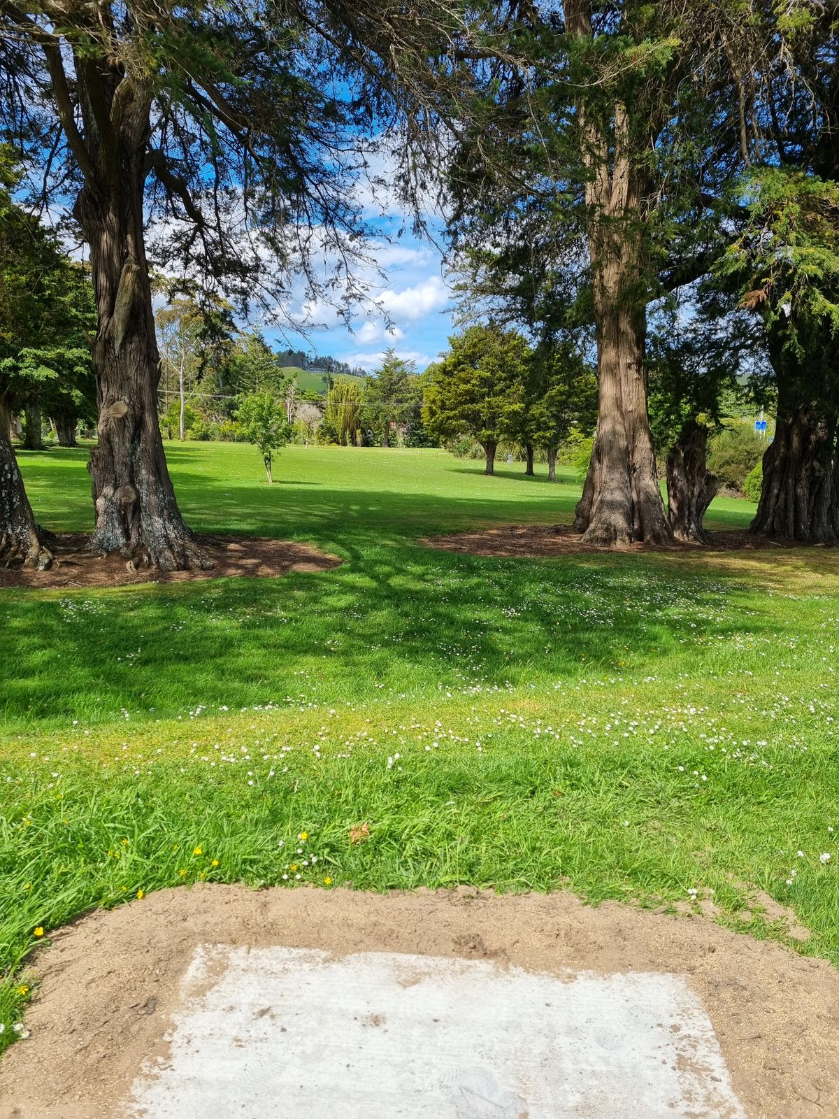 Hole 3 tee, basket is behind the trees on the right
