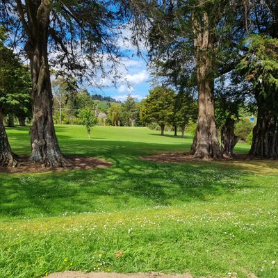 Hole 3 tee, basket is behind the trees on the right