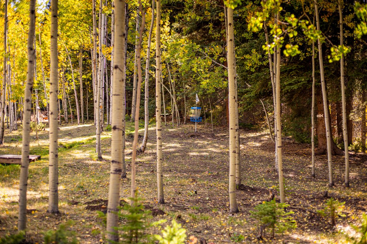 Hole 14 approach to B position

📸: Kevin Banker || Banker Cinefoto || September 2020