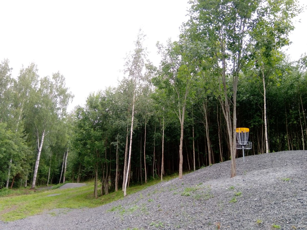 Väylän #8 kori (13.7.2023).